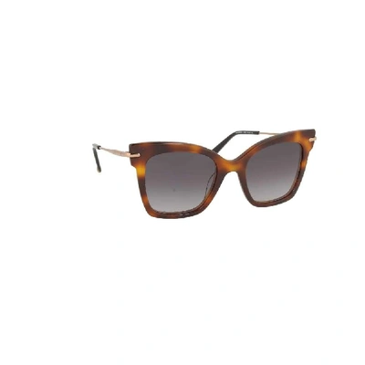 Shop Max Mara Women's Brown Acetate Sunglasses