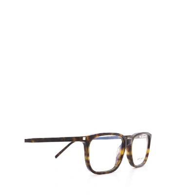 Shop Saint Laurent Women's Brown Acetate Glasses