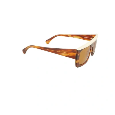 Shop Kaleos Women's Brown Acetate Sunglasses