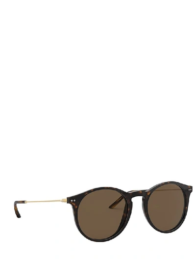 Shop Giorgio Armani Women's Brown Acetate Sunglasses