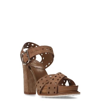 Shop Tod's Women's Brown Suede Sandals