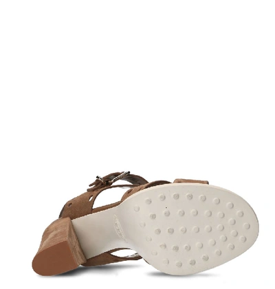 Shop Tod's Women's Brown Suede Sandals