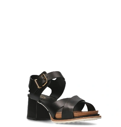 Shop Tod's Women's Black Leather Sandals