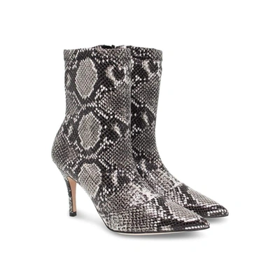 Shop Roberto Festa Women's Grey Leather Ankle Boots