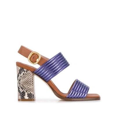 Alberto Gozzi Python Sandals In Multicolor