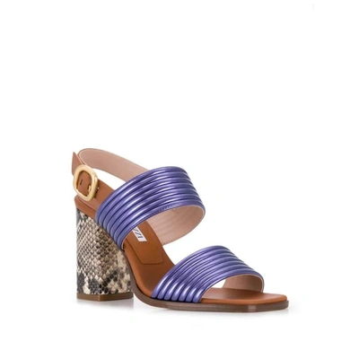Alberto Gozzi Python Sandals In Multicolor