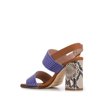 Shop Alberto Gozzi Women's Multicolor Leather Sandals