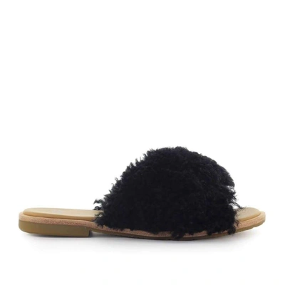 Shop Ugg Women's Black Polyester Sandals