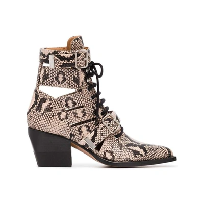 Shop Chloé Women's Beige Leather Ankle Boots