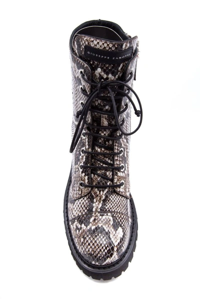 Giuseppe Zanotti Python-embossed Leather Combat Boots In Beige