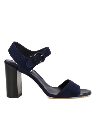 Shop Tod's Women's Blue Leather Sandals