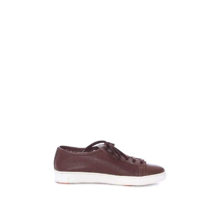 Shop Santoni Men's Brown Leather Sneakers