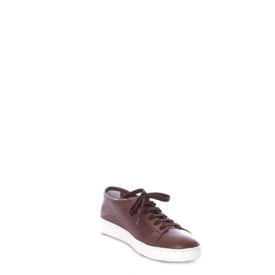 Shop Santoni Men's Brown Leather Sneakers