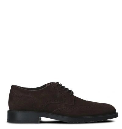 Shop Tod's Men's Brown Suede Lace-up Shoes