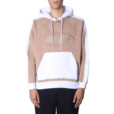 Msgm Hooded Sweatshirt In White
