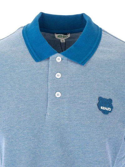 Shop Kenzo Men's Blue Cotton Polo Shirt