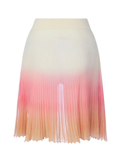 Shop Jacquemus Women's Pink Cotton Skirt