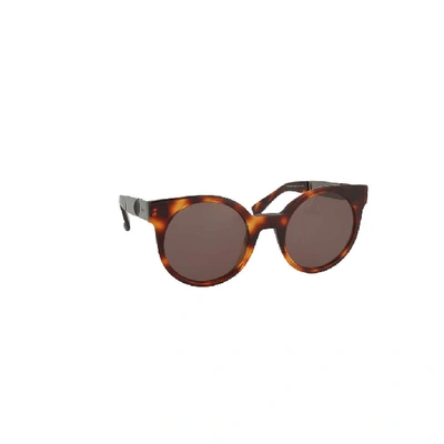 Shop Max Mara Women's Brown Acetate Sunglasses