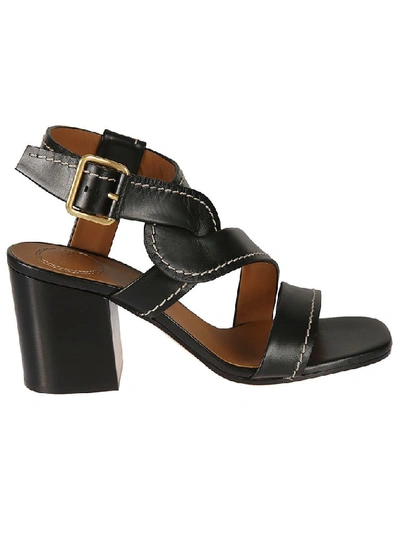 Shop Chloé Women's Black Leather Sandals