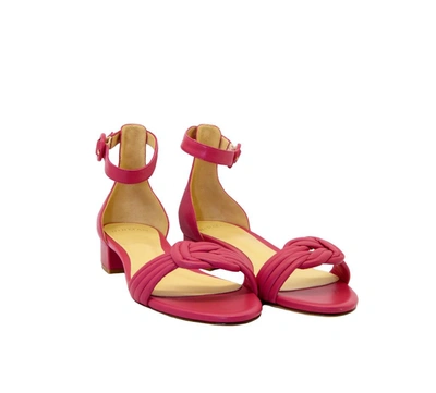 Shop Alexandre Birman Women's Fuchsia Leather Sandals