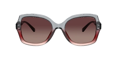 Coach Burgundy Grey Gradient Butterfly Ladies Sunglasses Hc8295f 5620e2 56 In Burgundy Grey Gradient