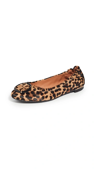 Shop Tory Burch Minnie Ballet Flats With Multi Logo In Barbados Leopard