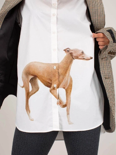 Shop Acne Studios Stella Animal Print Shirt In White