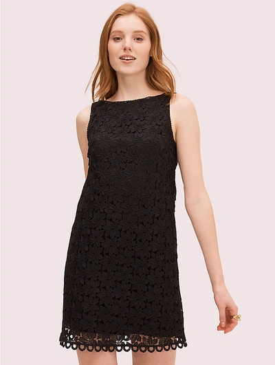 Shop Kate Spade Leaf Lace Shift Dress In Marshmallow Pink