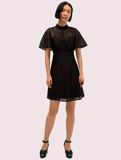 Shop Kate Spade Flora Leopard Lace Mini Dress In Black