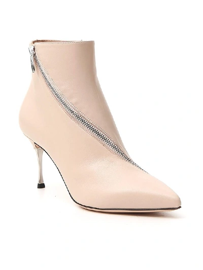 Shop Sergio Rossi Zip Detail Ankle Boots In Beige