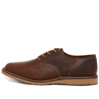 Shop Red Wing 3303 Weekender Oxford In Brown