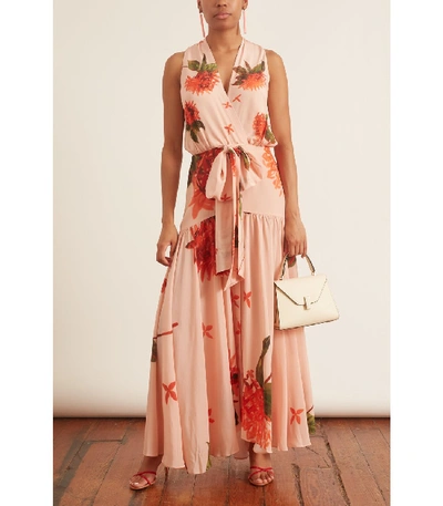 Shop Silvia Tcherassi Ada Luz Dress In Coral Flower In Pink