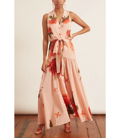 Shop Silvia Tcherassi Ada Luz Dress In Coral Flower In Pink