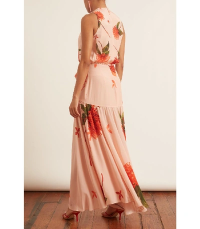 Shop Silvia Tcherassi Ada Luz Dress In Coral Flower In Pink