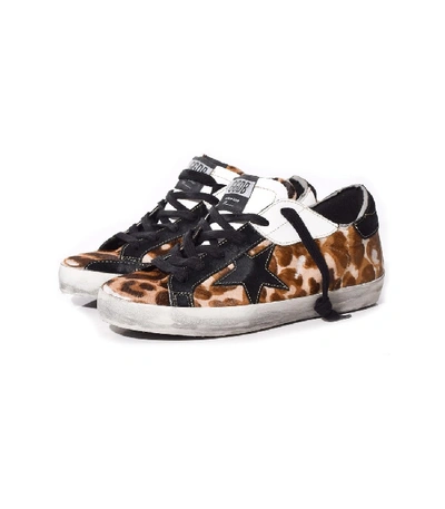 Shop Golden Goose Superstar Sneakers In Leopard Patch/black Star In Multi
