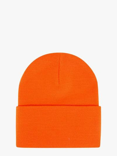 Shop Carhartt Hat In Orange