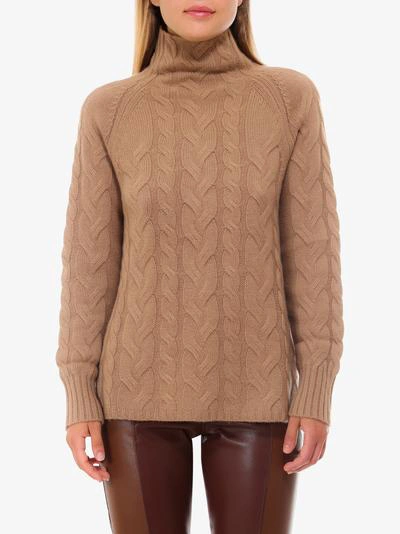 Shop Max Mara Sweater In Brown