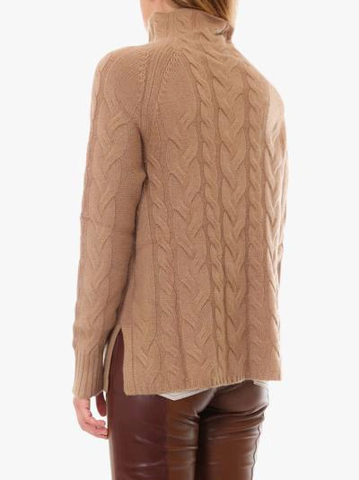 Shop Max Mara Sweater In Brown