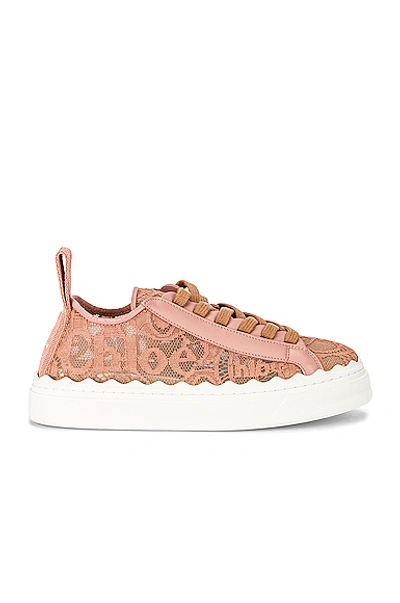 Shop Chloé Lauren Lace Sneakers In Pink Tea