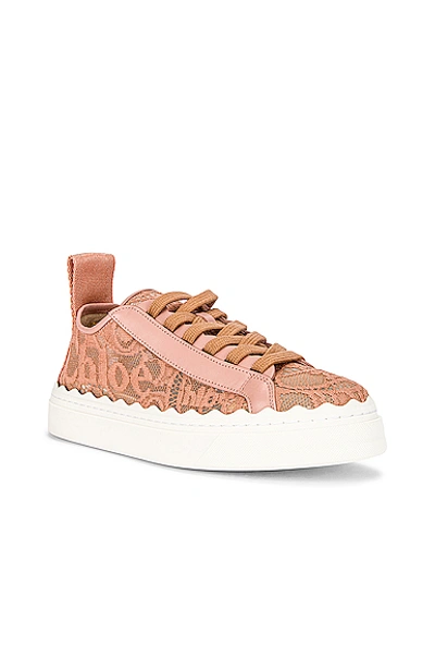 Shop Chloé Lauren Lace Sneakers In Pink Tea