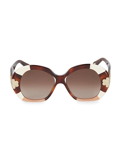 Shop Chloé Havana 54mm Rounded Square Sunglasses In Gold Patch