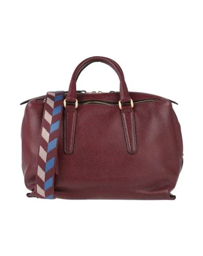 Shop Gianni Chiarini Handbags In Maroon
