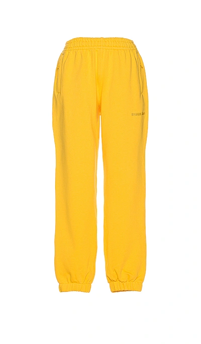 Shop Adidas X Pharrell Williams 运动长裤 – 金色 In Yellow