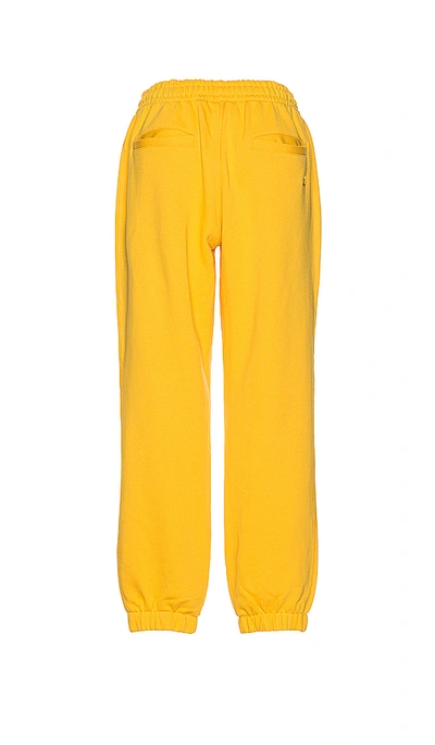 Shop Adidas X Pharrell Williams 运动长裤 – 金色 In Yellow
