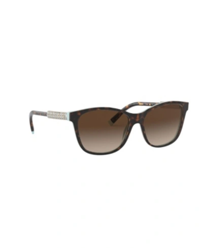 Shop Tiffany & Co Women's Sunglasses, Tf4174b In Brown