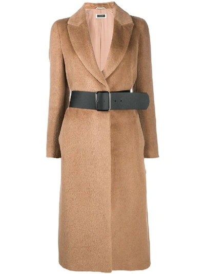 Shop Peserico Single Breasted Coat In Brown