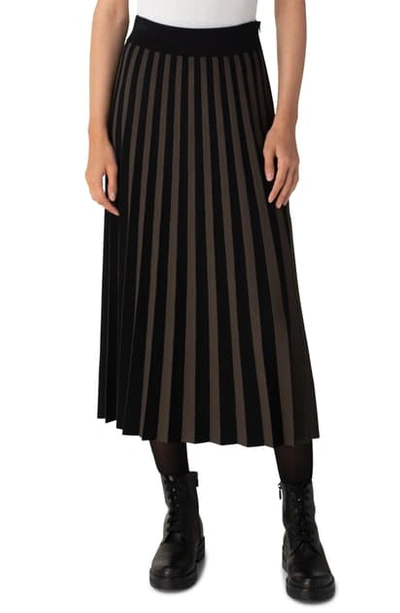 Shop Akris Punto Kodak Stripe Pleated Skirt In Bamboo-black