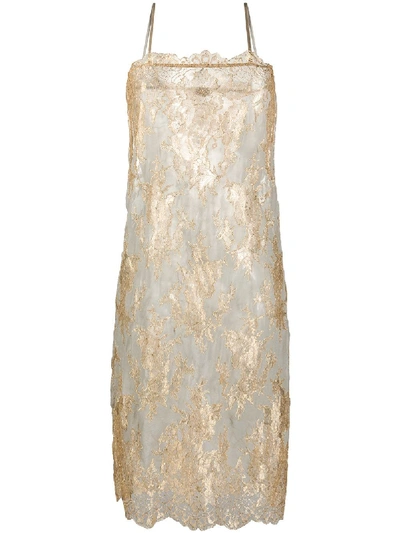 Shop Dolci Follie Metallic Slip Dress In Gold