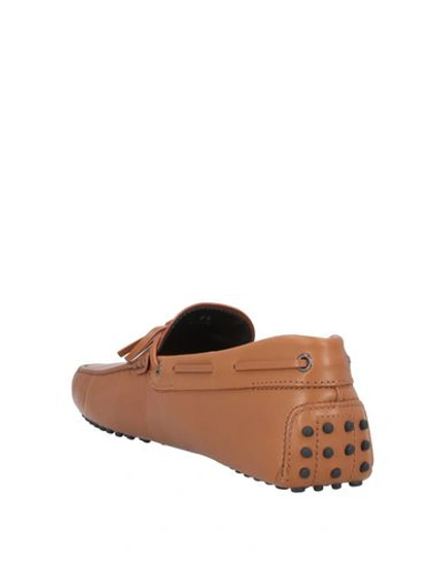 Tod's Loafers In Camel