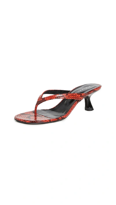 Shop Simon Miller Beep Thong Sandals In Tango Red